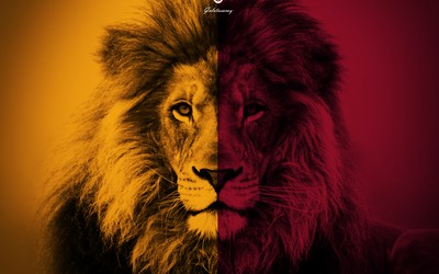 U体育独家-凯拉这庆祝动作什么意思